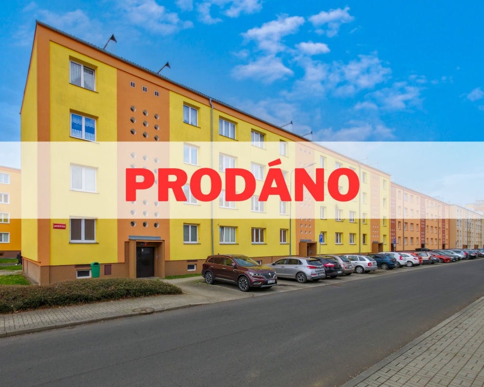 Byt 1+1, Nová Role, Svobodova